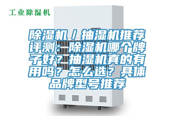 除濕機／抽濕機推薦評測：除濕機哪個牌子好？抽濕機真的有用嗎？怎么選？具體品牌型號推薦