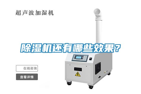 除濕機還有哪些效果？