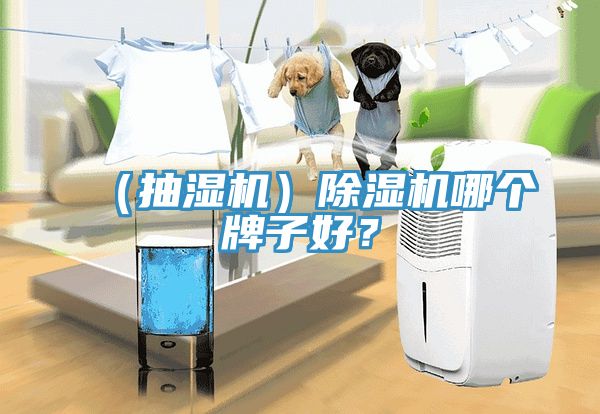 （抽濕機）除濕機哪個牌子好？