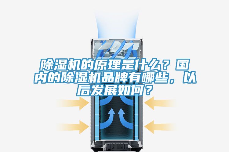 除濕機的原理是什么？國內(nèi)的除濕機品牌有哪些，以后發(fā)展如何？