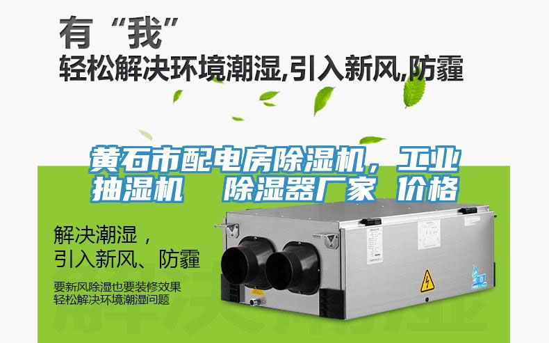 黃石市配電房除濕機，工業(yè)抽濕機  除濕器廠家 價格