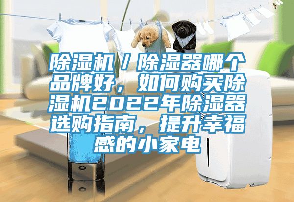 除濕機／除濕器哪個品牌好，如何購買除濕機2022年除濕器選購指南，提升幸福感的小家電